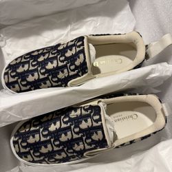 Dior Oblique Slip-ons 