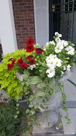 flowers for $ 60 each