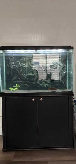 55 gallon aquarium tank