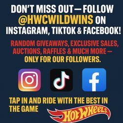 HWCWiLDWiNS Hot Wheels Collectibles