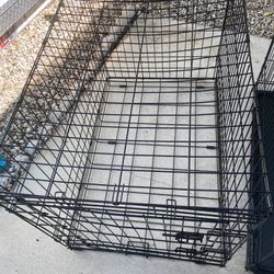 Cage For Big Dog