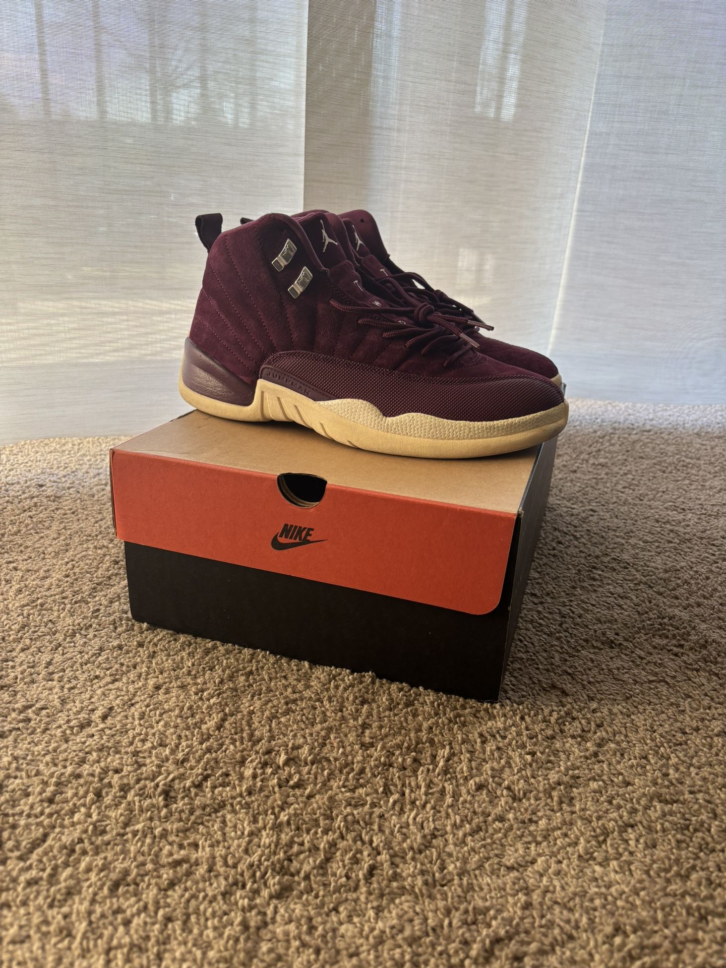 Jordan 12 ( 10.5)