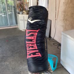 Punching Bag Everlast