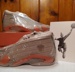 Jordan 14 Retro "Clot Terracotta"