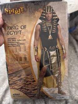 Mens costume
