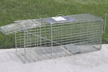 Animal trap
