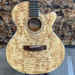 mitchell guitar