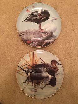 American Waterbirds series collectors plates