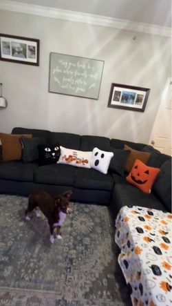 Gray L-Shape Sectional