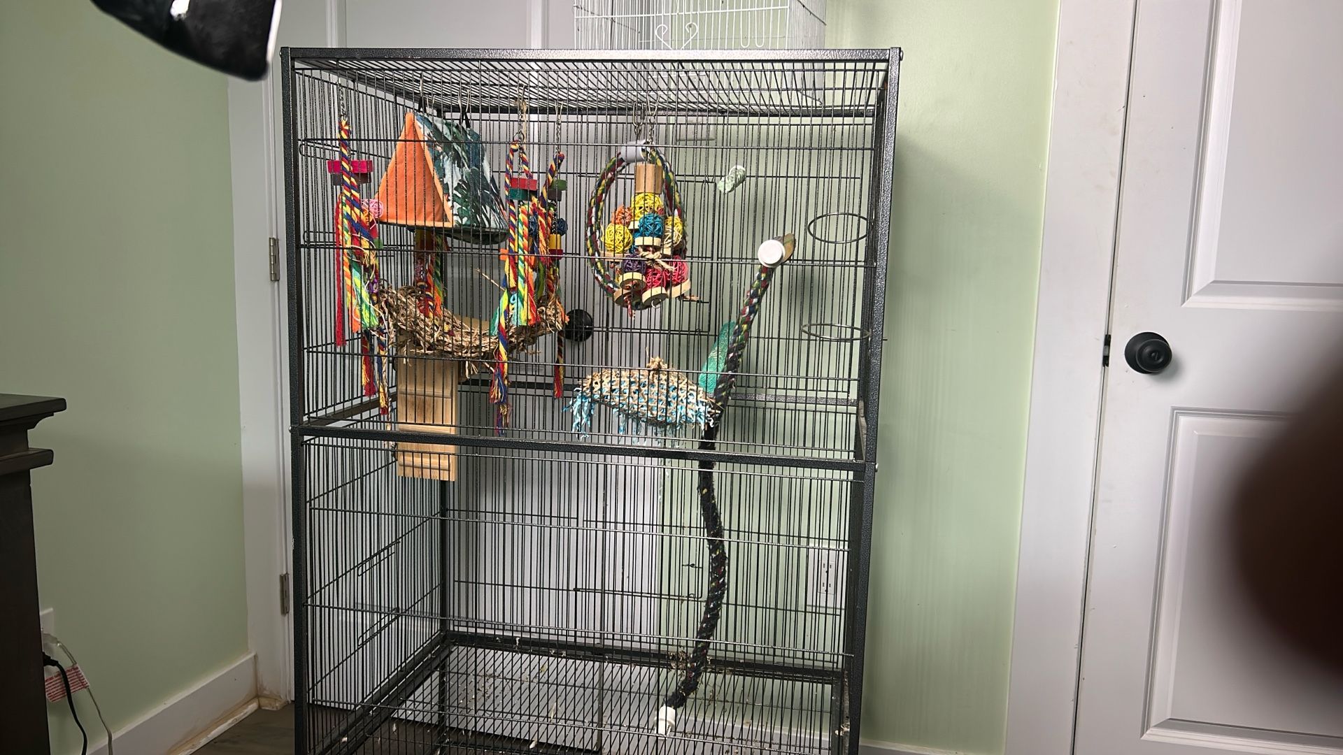 Bird Cage With Accessories 