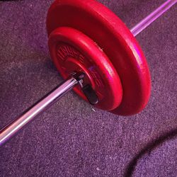 Weight Bar And 90 Pounds OfSolid Metal Weights