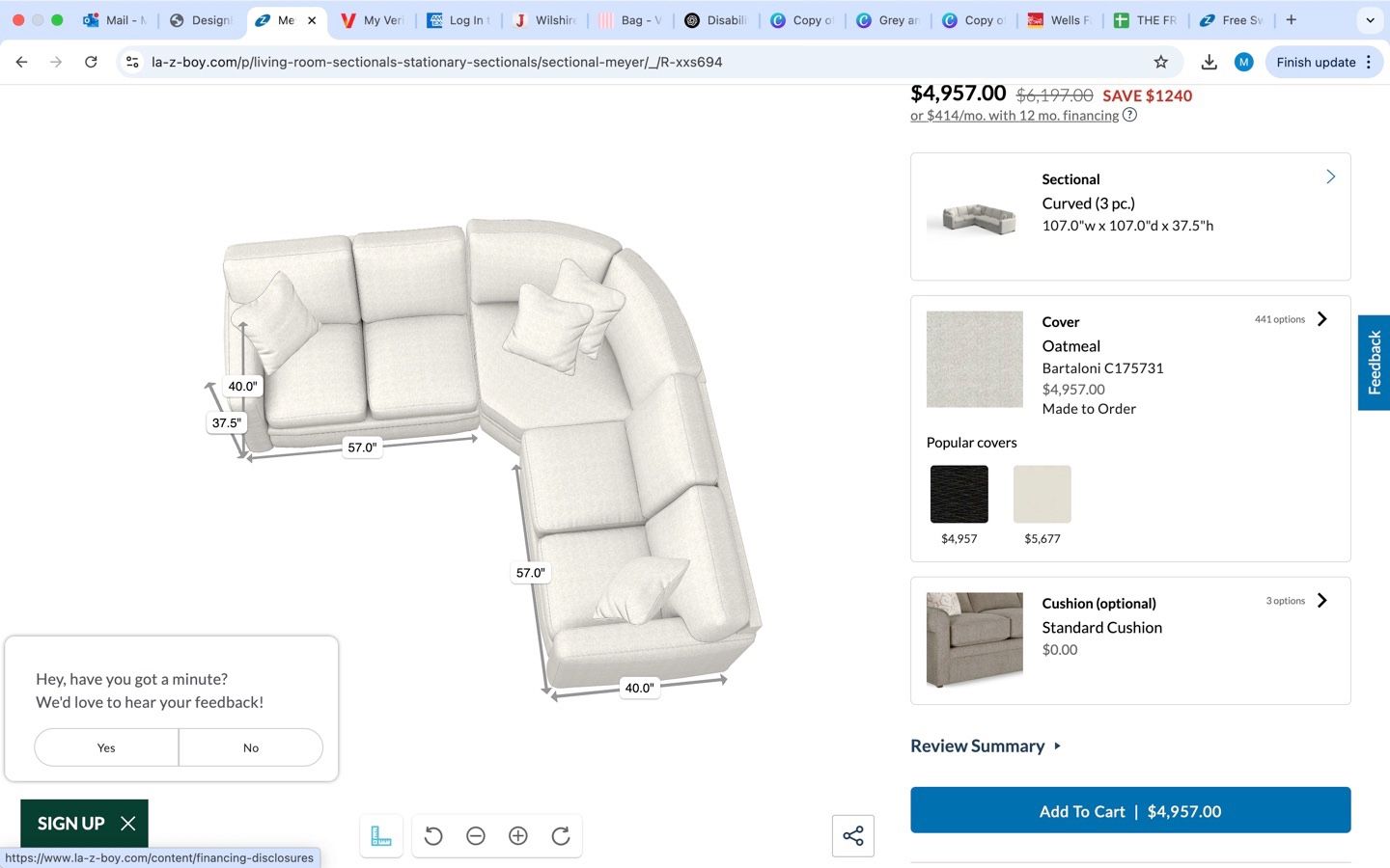Custom Ordered Couch And Ottoman