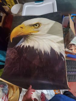 Old Eagle Poster. 
