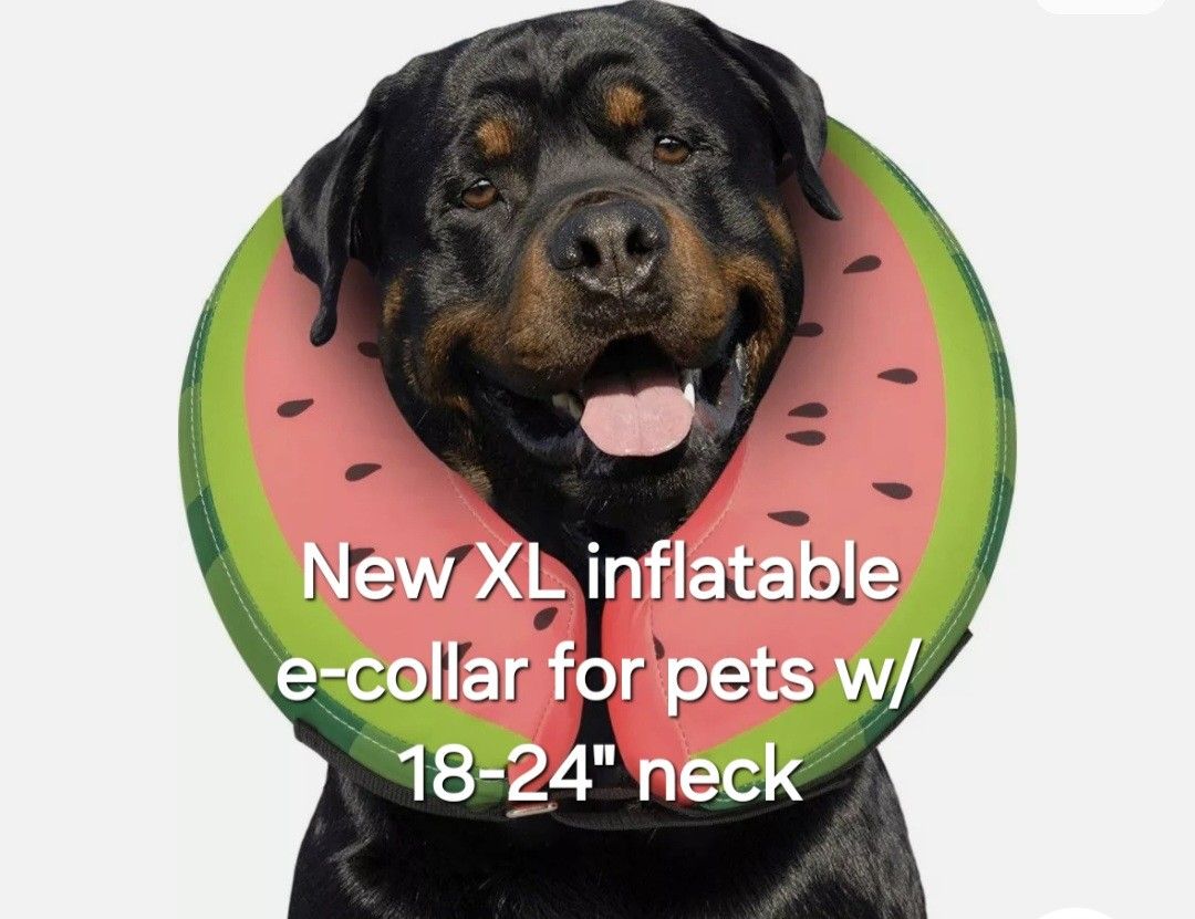 New Size XL Inflatable E-collar Watermelon For Dogs Recovery Surgery