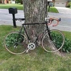 🚴‍♂️ 1984 TREK 560 12-speed Road Bike 24” frame, 24” rims MINT!