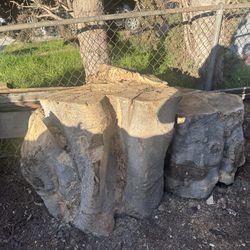 Free Tree Trunk Wood