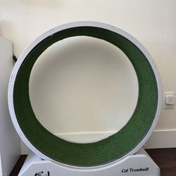 Cat Treadmill