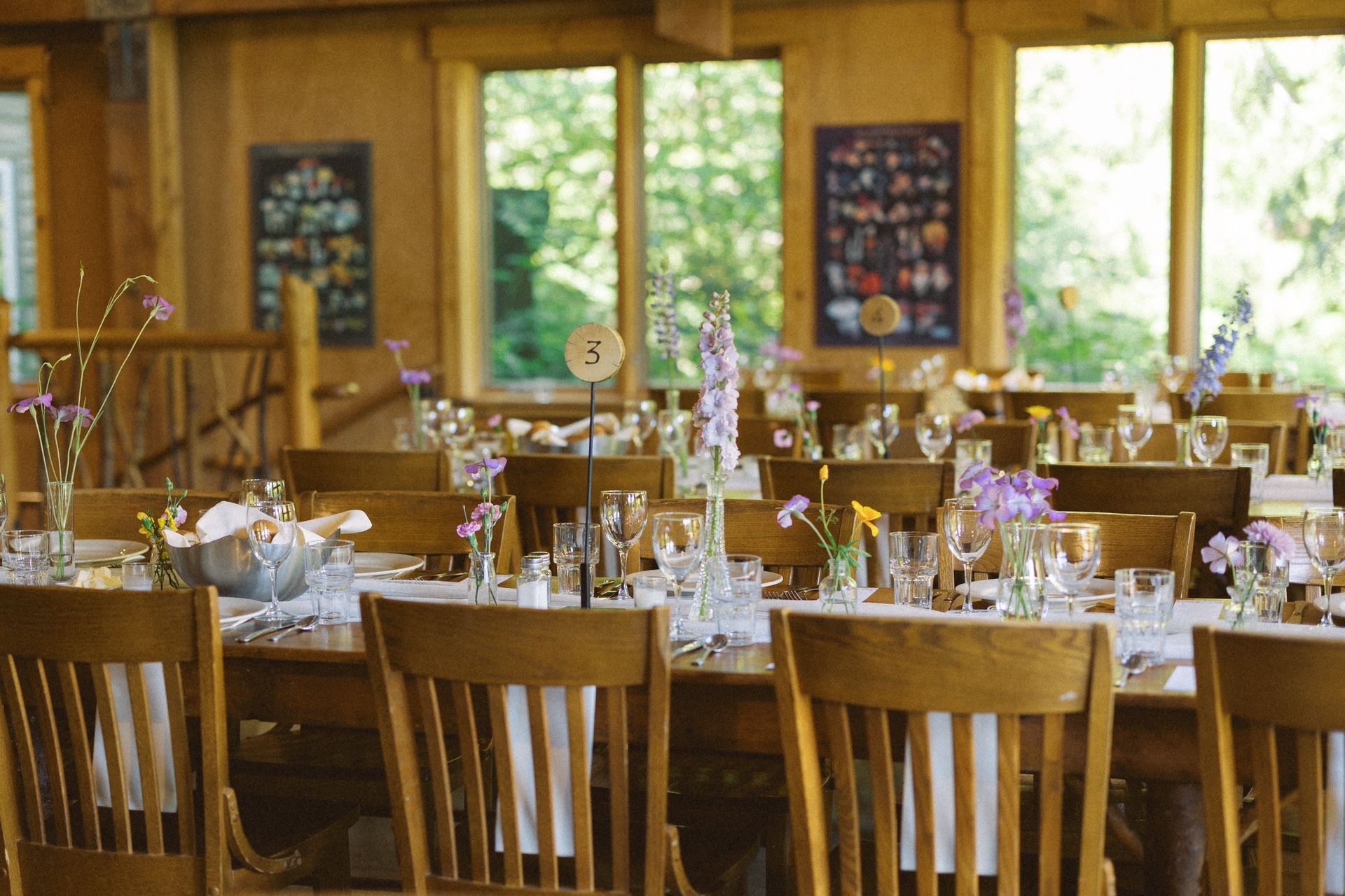 100 Bud Vases For Wedding Or Event