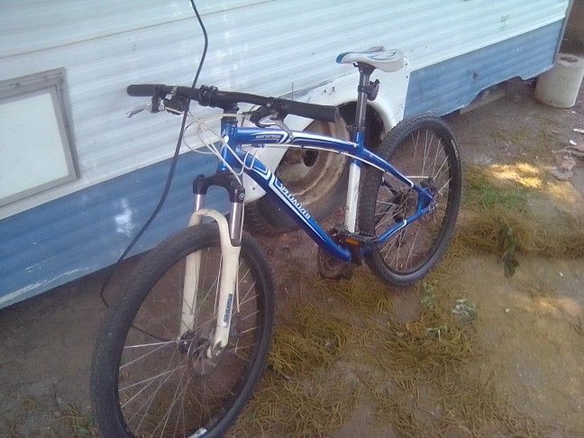 Specialized Bike Size 17