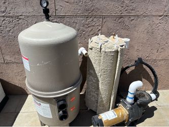 Pool pump and filter