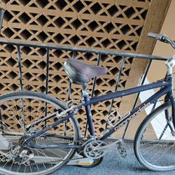 Bicycle Scooter