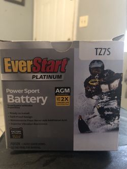 Everstart Platinum Battery