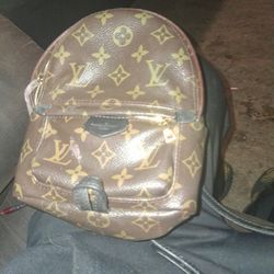 , L Ouis Vitton Palm Springs Back Pack