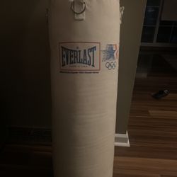 Vintage Everlast Punching Bag