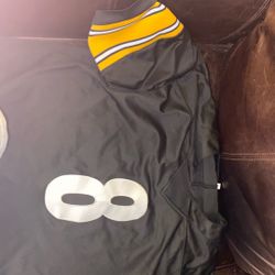 Kenny Picket Steelers Jersey 
