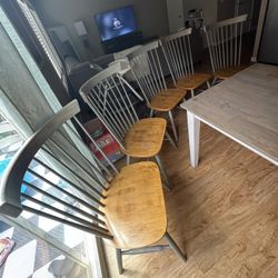 Dining Chairs 