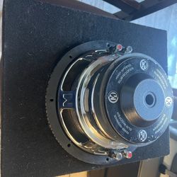 Memphis 10” dual coil 