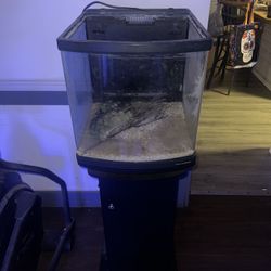 29 Gallon Bio Cube Saltwater Fish tank 
