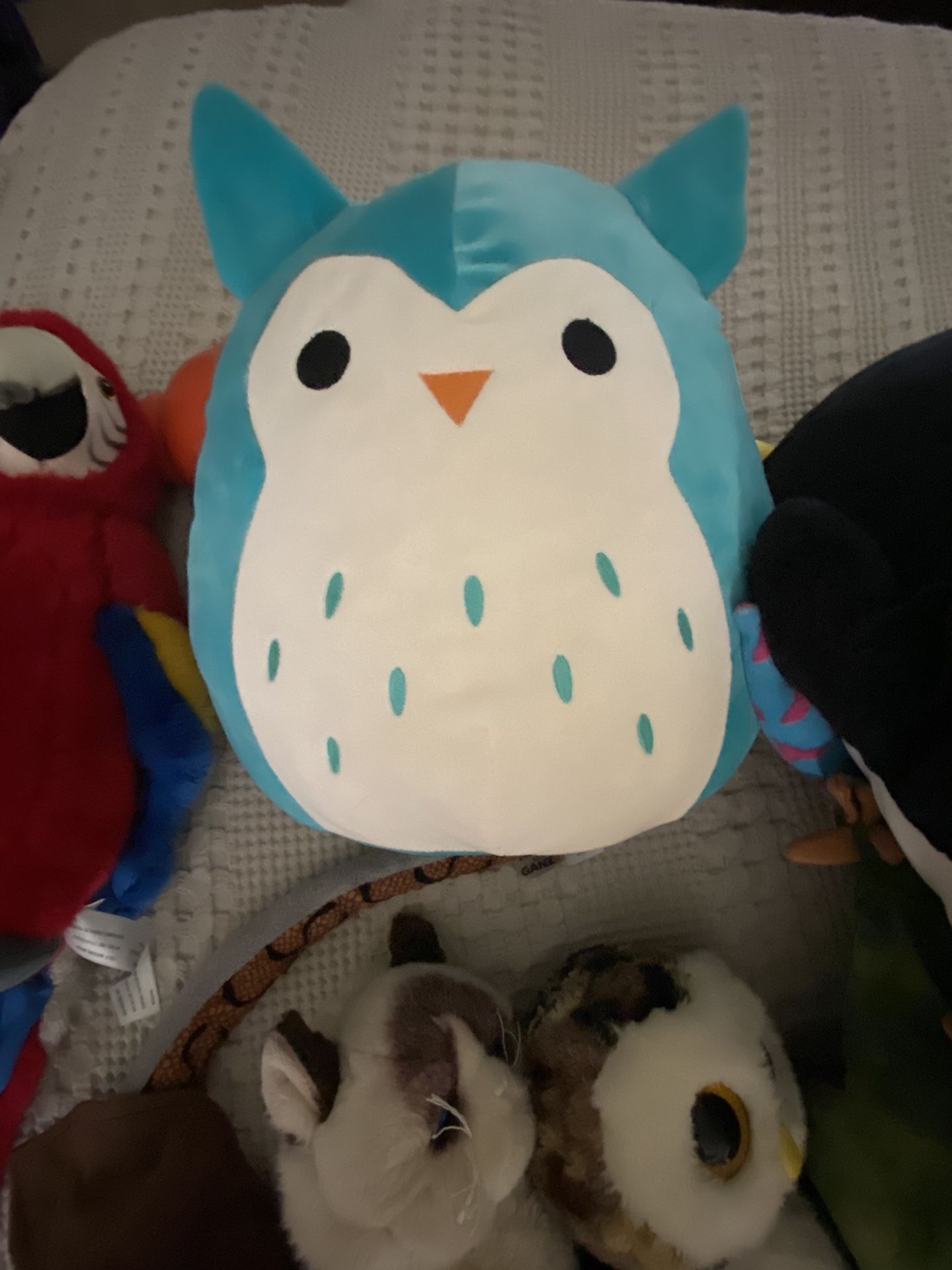 Stuffed Animals