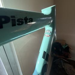 55mm Bike frame (Bianchi 25th Anniversary Edition