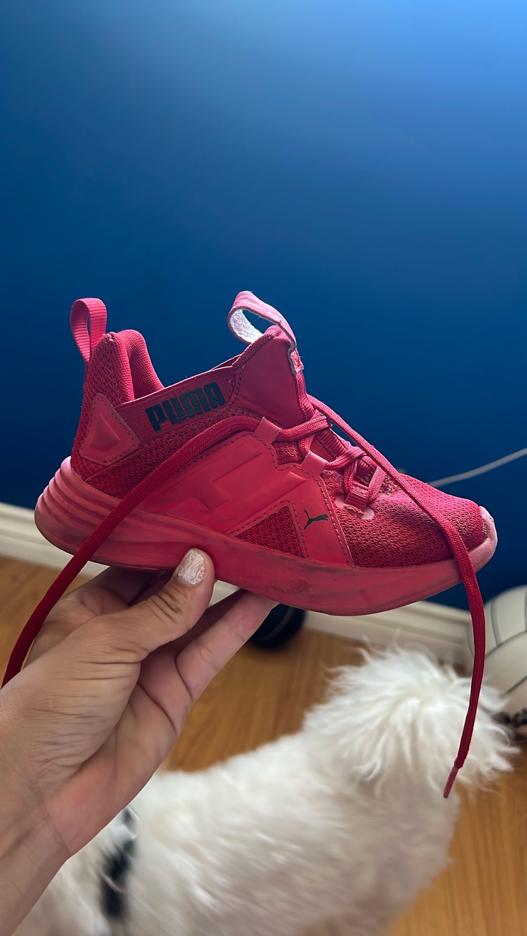 Red Pumas
