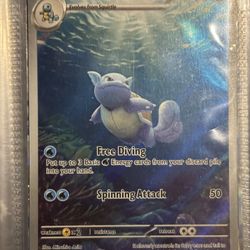 Pokemon Wartortle