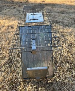 Live Animal Trap