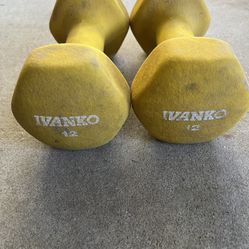 Vintage Ivanko 12 Lb. Coated Weights
