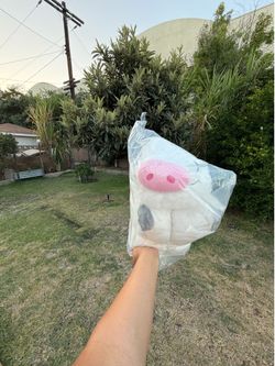 Moana Pua Pillow Pet