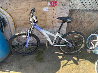 Diamondback Tessa 24