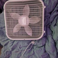Box Fan