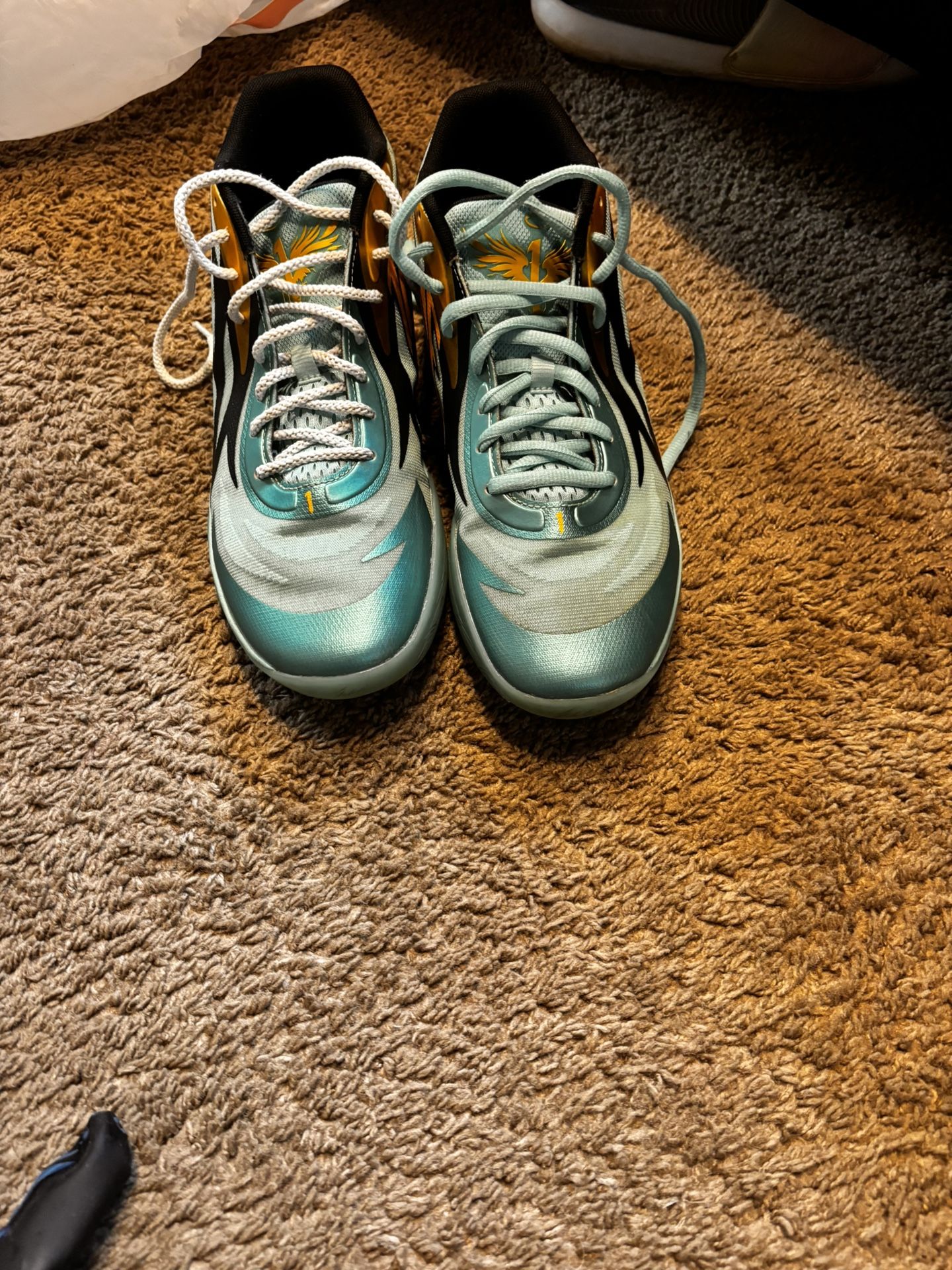 Puma