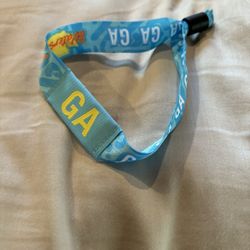 2024 Watershed Wrist Band