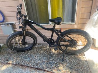 Go power electric bike