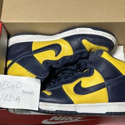 Nike Dunk High Michigan