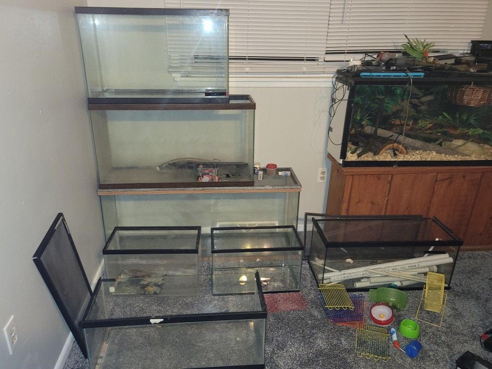 Aquarium and Accessories