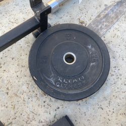 45lb Bumper Plates (Pair)