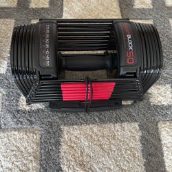 Power Block Dumbbells