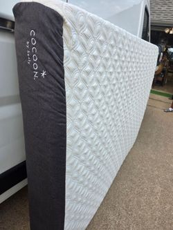 Cocoon by Sealy Mattress