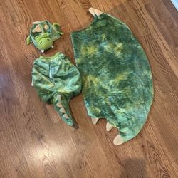 Dragon Costume